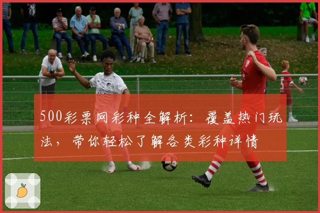 500彩票网彩种全解析：覆盖热门玩法，带你轻松了解各类彩种详情