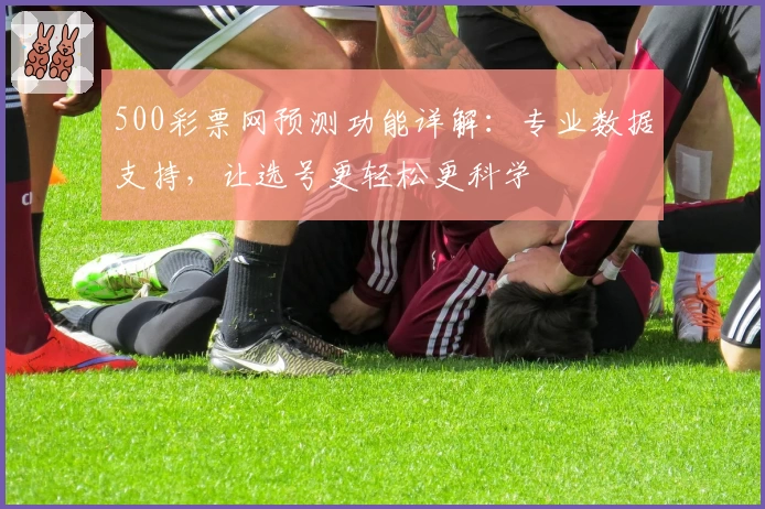 500彩票网预测功能详解：专业数据支持，让选号更轻松更科学