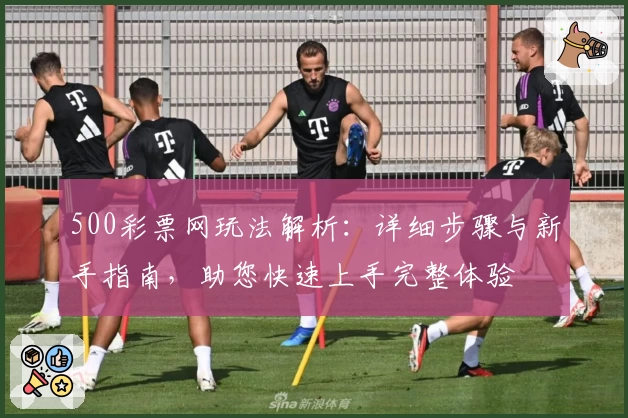 500彩票网玩法解析：详细步骤与新手指南，助您快速上手完整体验