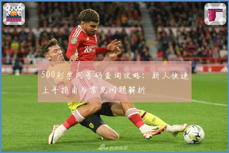 500彩票网号码查询攻略：新人快速上手指南与常见问题解析