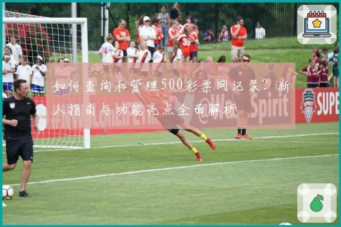 如何查询和管理500彩票网记录？新人指南与功能亮点全面解析