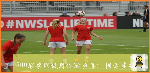 500彩票网使用体验分享：揭示其安全可靠的服务与便捷功能